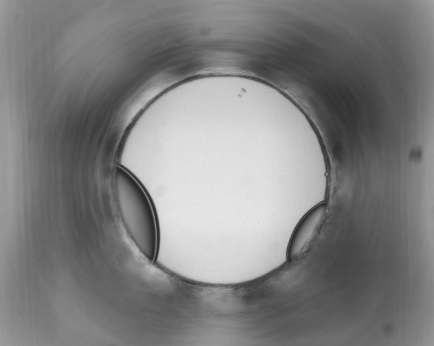 X0000112500909200909281154