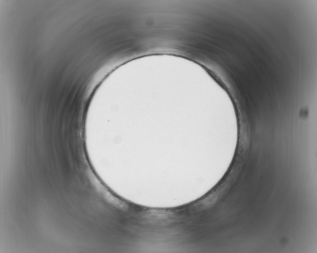 X0000112500910200909281154