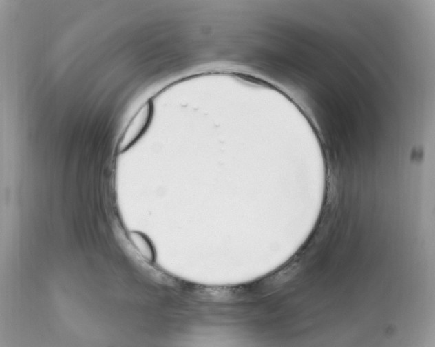 X0000112500911200909281154