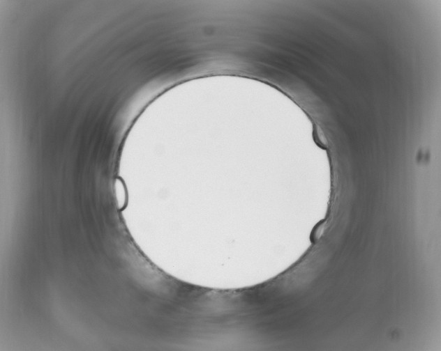 X0000112500912200909281154