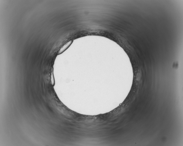 X0000112500916200909281153