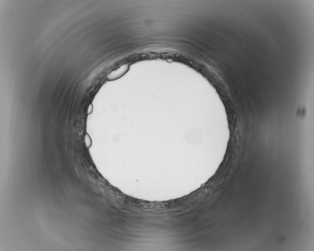 X0000112500920200909281153