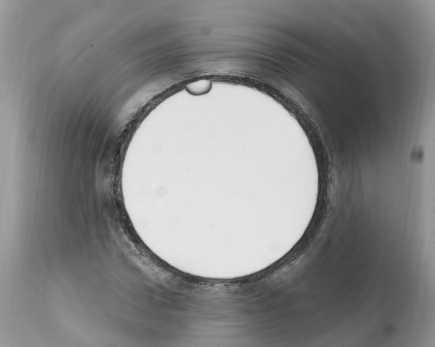 X0000112500922200909281153