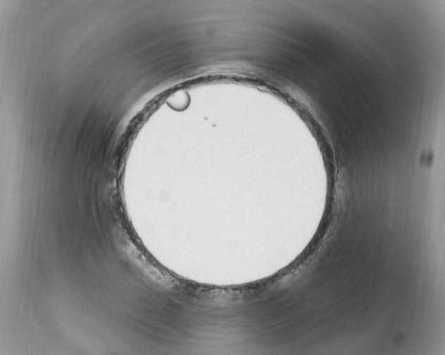 X0000112500923200909281153