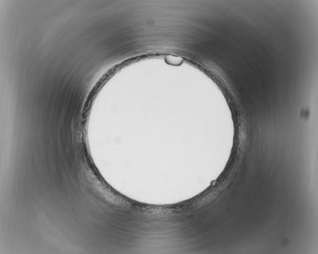 X0000112500924200909281153