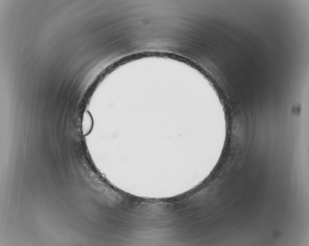 X0000112500926200909281153