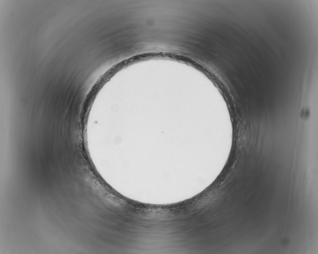 X0000112500927200909281153