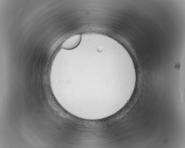 X0000112500928200909281153