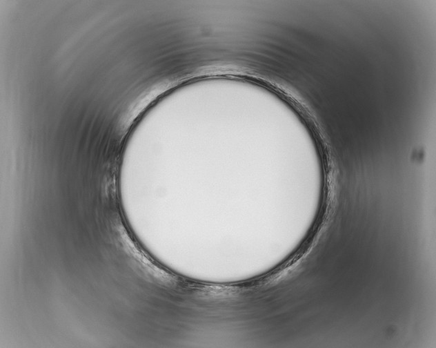 X0000112500929200909281153