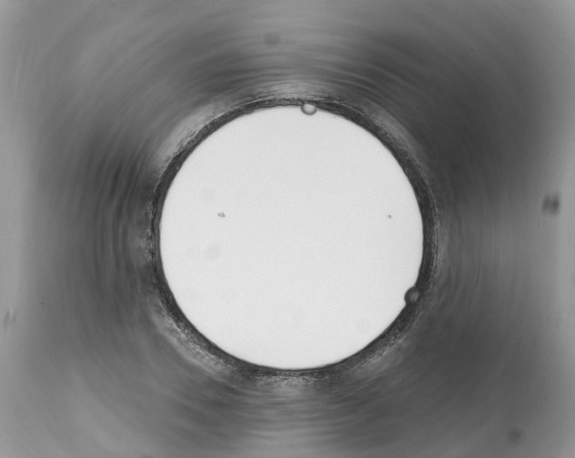 X0000112500930200909281153