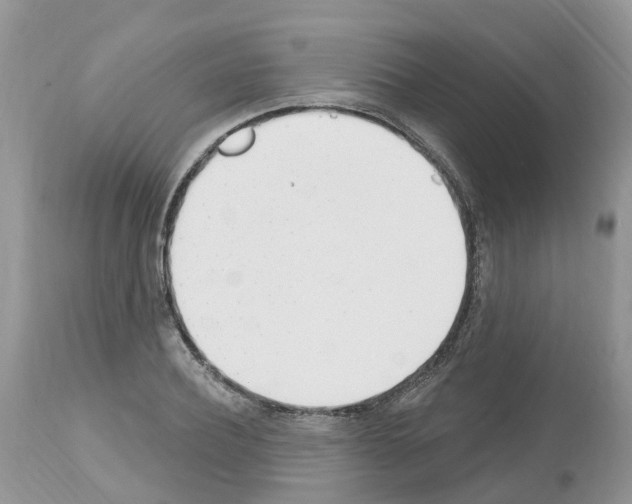 X0000112500932200909281153