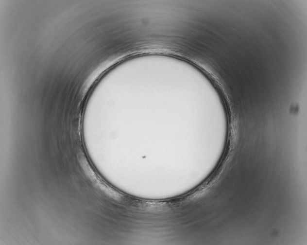 X0000112500933200909281153