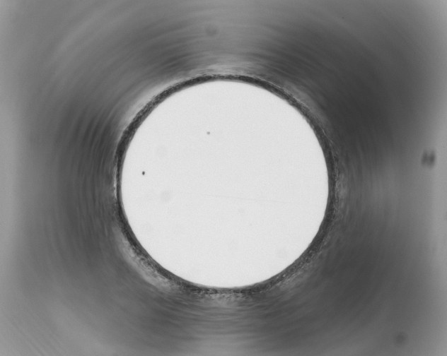 X0000112500934200909281153