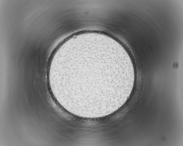 X0000112500935200909281153