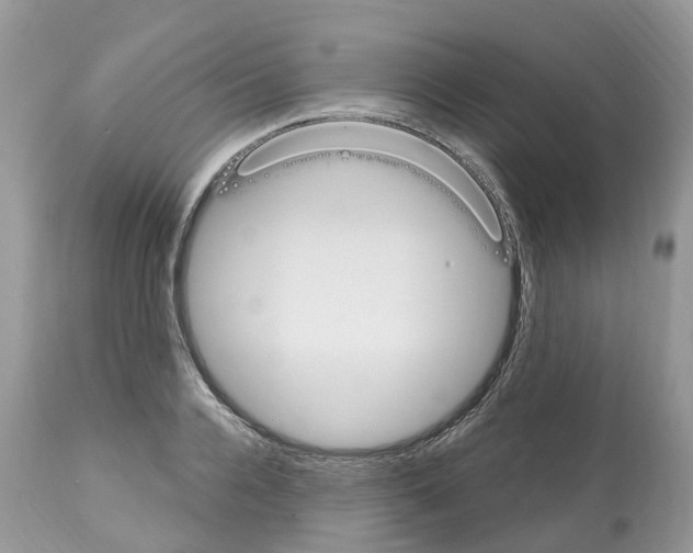 X0000112500936200909281153