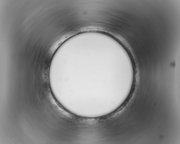 X0000112500937200909281153