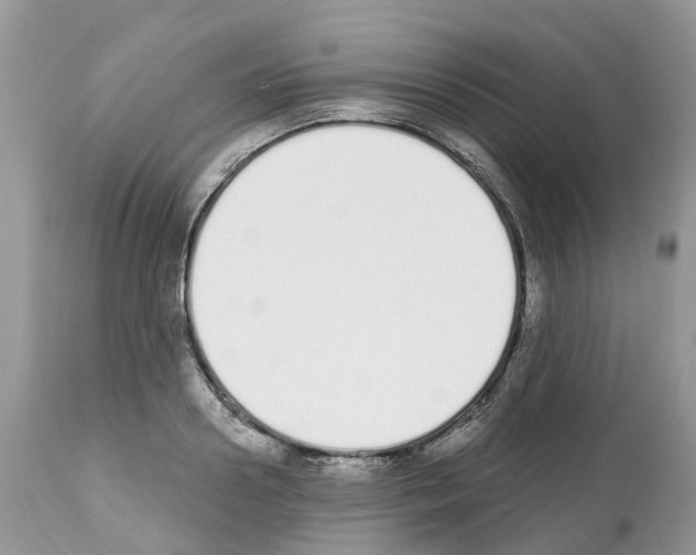 X0000112500938200909281153