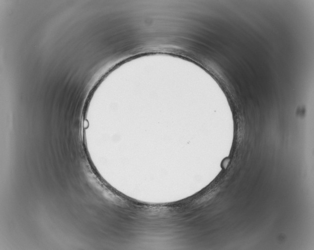 X0000112500940200909281154