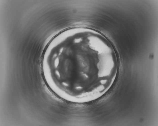 X0000112500941200909281154