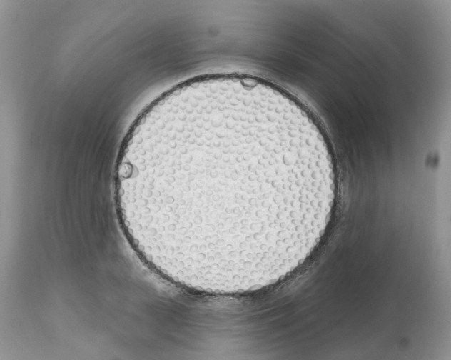 X0000112500943200909281154