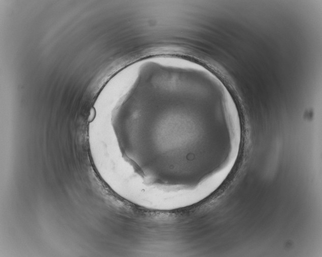 X0000112500945200909281154