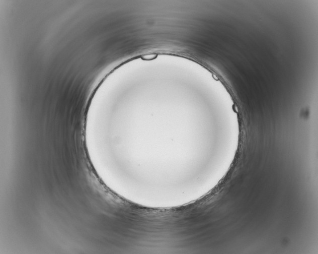 X0000112500948200909281154