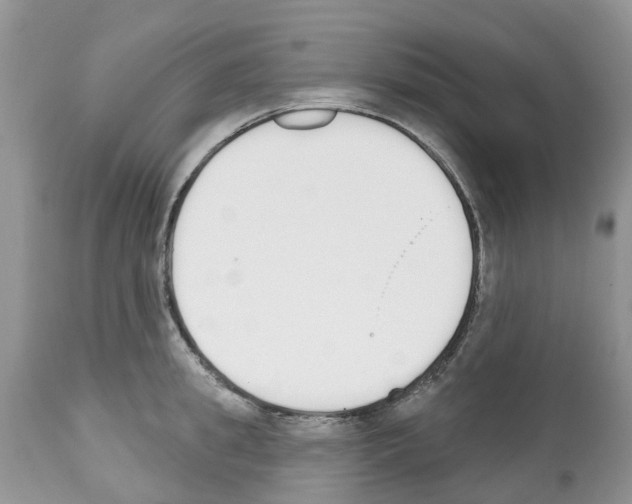 X0000112500949200909281154