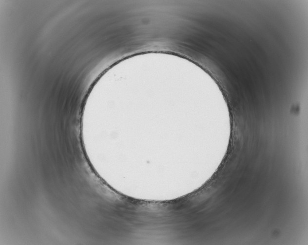 X0000112500950200909281154