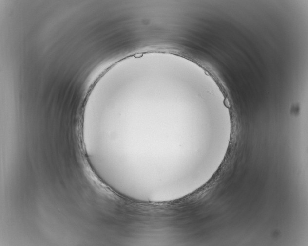 X0000112500952200909281154