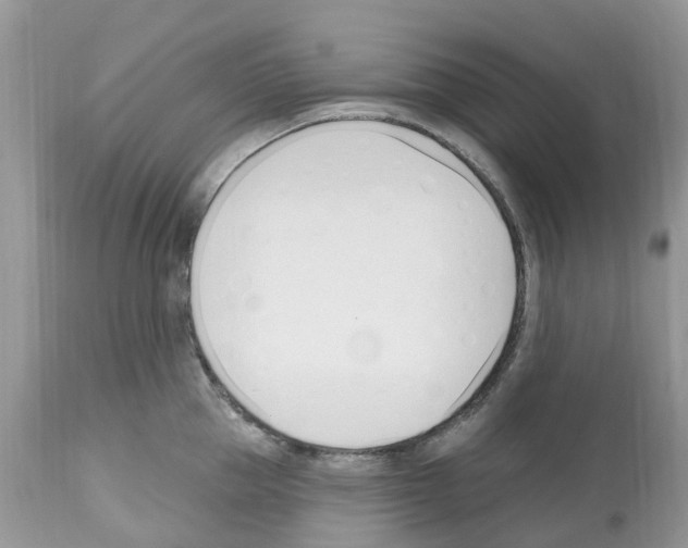 X0000112500953200909281154