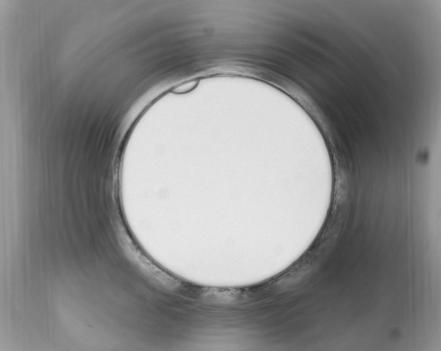 X0000112500955200909281154