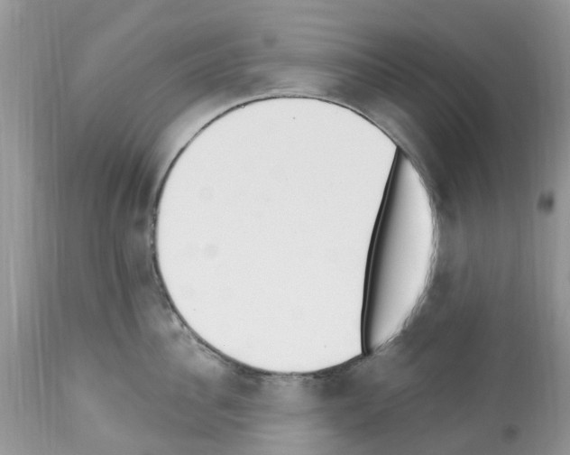 X0000112500956200909281154