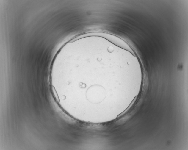 X0000112500957200909281154