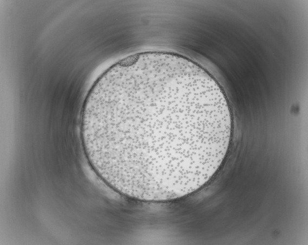 X0000112500958200909281154