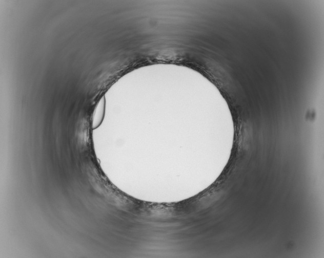 X0000112500962200909281153