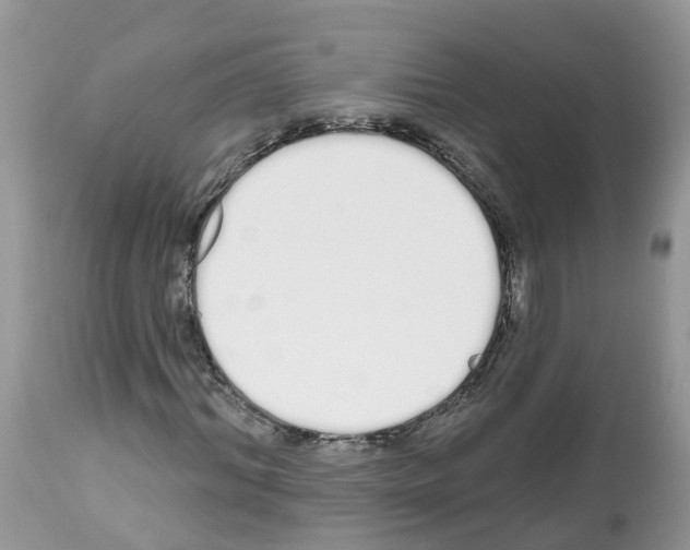 X0000112500964200909281153