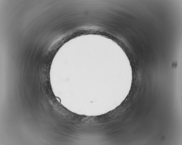 X0000112500967200909281153