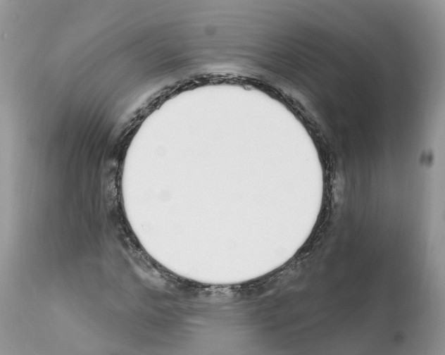 X0000112500968200909281153