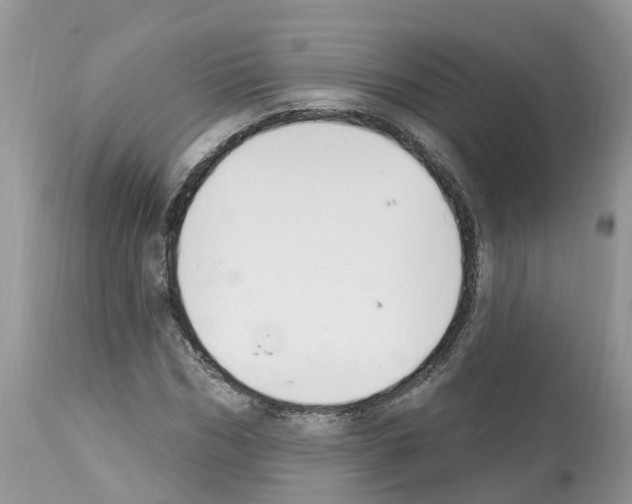 X0000112500970200909281153