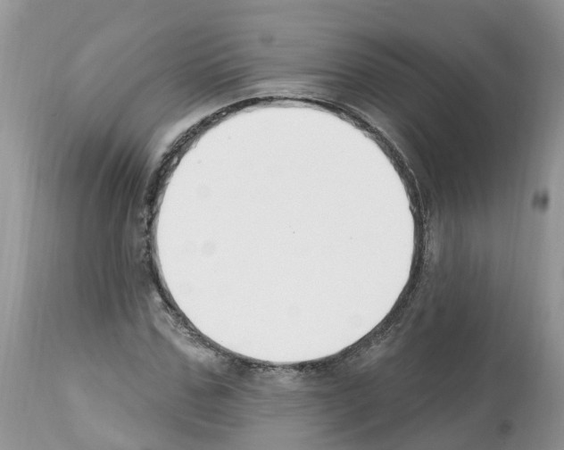 X0000112500971200909281153