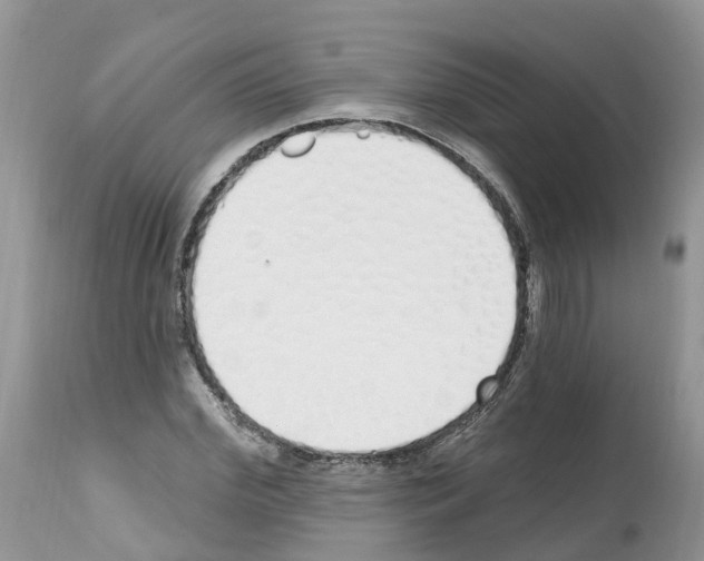 X0000112500972200909281153