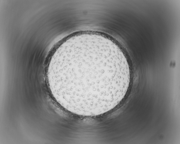 X0000112500974200909281153