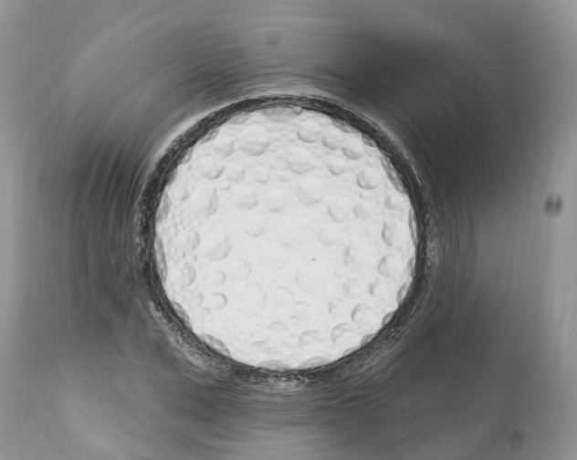 X0000112500975200909281153