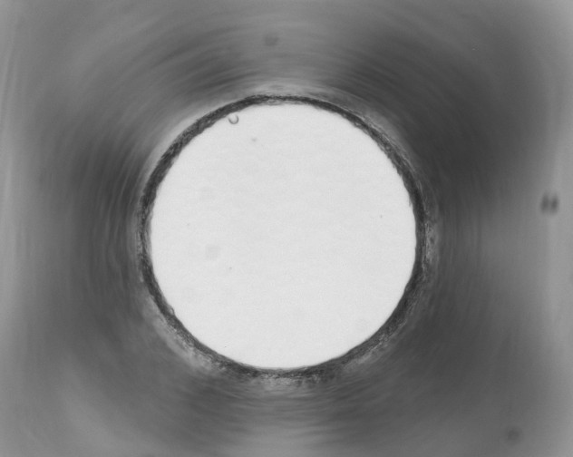 X0000112500976200909281153