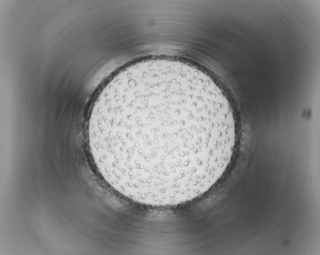 X0000112500978200909281153