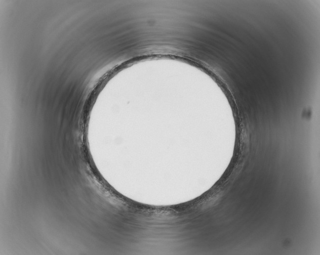 X0000112500979200909281153