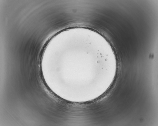 X0000112500981200909281153