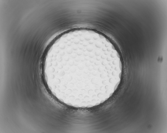 X0000112500983200909281153