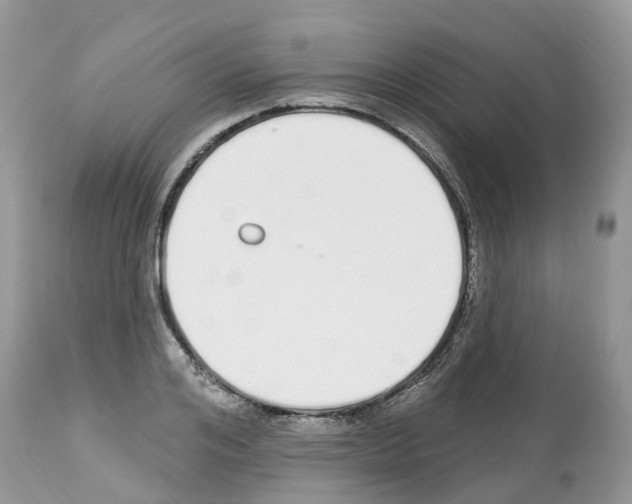 X0000112500984200909281153