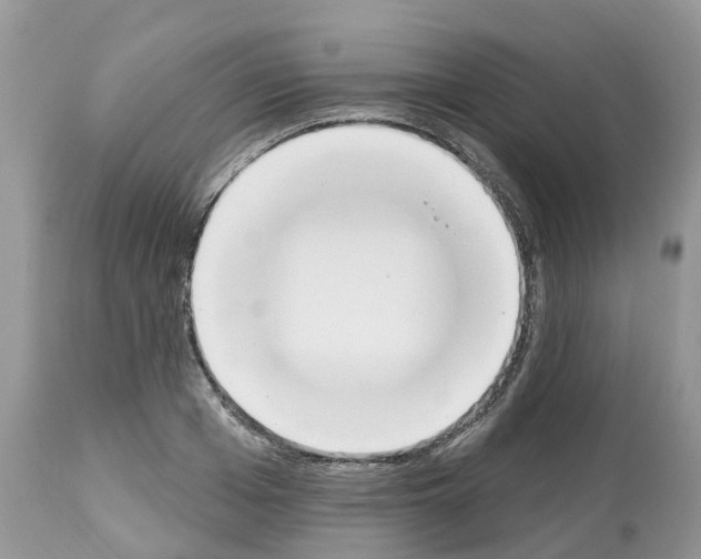 X0000112500985200909281153